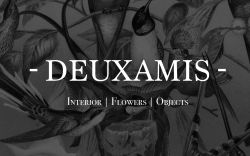 Deuxamis bv